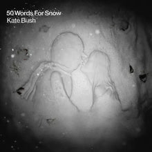 Load image into Gallery viewer, Kate Bush - 50 Words For Snow (2LP Snowy White vinyl)
