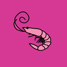 Load image into Gallery viewer, Kero Kero Bonito - Flamingo (7" Pink vinyl)
