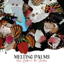 Load image into Gallery viewer, Melting Palms - Noise Between The Shades (2LP Red Monarch vinyl)
