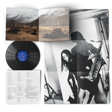 Load image into Gallery viewer, PJ Harvey - The Hope Six Demolition Project
