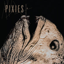 Load image into Gallery viewer, Pixies - Complete B Sides (2LP Transparent vinyl)
