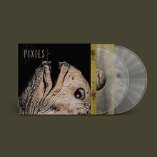 Load image into Gallery viewer, Pixies - Complete B Sides (2LP Transparent vinyl)
