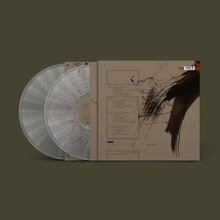 Load image into Gallery viewer, Pixies - Complete B Sides (2LP Transparent vinyl)
