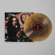 Load image into Gallery viewer, Sharon Van Etten - Sharon Van Etten &amp; The Attachment Theory (Amber Galaxy vinyl)
