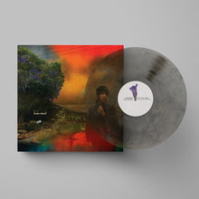 Load image into Gallery viewer, Sharon Van Etten - We've Been Going About This All Wrong (Maroon Insomnia + Signed Art Print)
