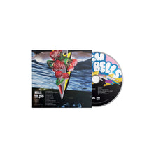 Load image into Gallery viewer, Sleigh Bells - Bunky Becky Birthday Boy (CD)
