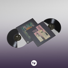 Load image into Gallery viewer, Spirit Of The Beehive - Hypnic Jerks (Black &amp; White Split vinyl)

