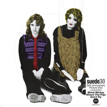 Load image into Gallery viewer, Suede - Metal Mickey (30th Anniversary Edition) (Limited 7" Picture Disc)
