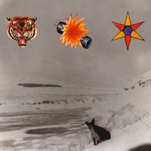 Load image into Gallery viewer, The Beta Band - The Three E.P.'s (2LP)
