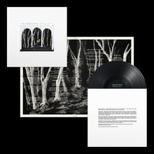 Load image into Gallery viewer, These New Puritans - Crooked Wing
