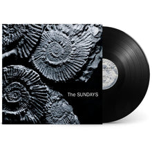 Load image into Gallery viewer, The Sundays - Reading, Writing And Arithmetic (2026 Reissue, LP)
