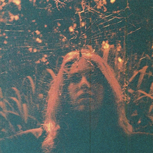 Load image into Gallery viewer, Turnover - Peripheral Vision (10 Year Anniversary Edition)
