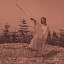 Load image into Gallery viewer, Unknown Mortal Orchestra - II (10th Anniversary Edition) (2LP Aluminium vinyl)
