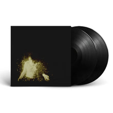 Load image into Gallery viewer, Wolf Alice - My Love Is Cool (2LP)
