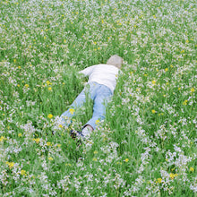 Load image into Gallery viewer, Porter Robinson - Nurture (2LP Clear vinyl)
