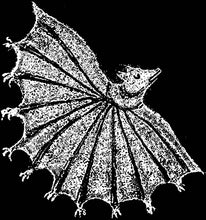 Load image into Gallery viewer, Xiu Xiu - Ignore Grief (Silver Ghost)
